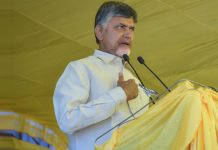 Chandrababu to Challenge from Nidadavole Electorate