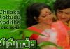 'Chilaka Kottudu' Song Pics....
