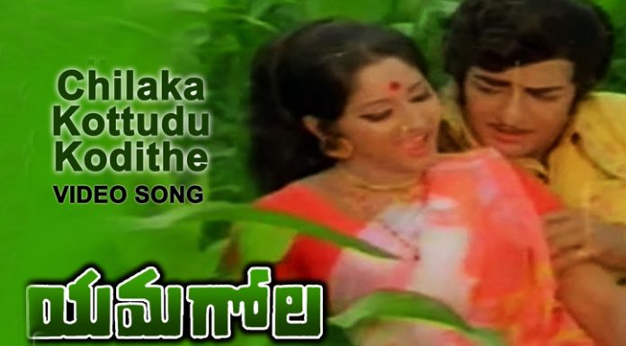 'Chilaka Kottudu' Song Pics....