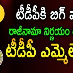 TDP MLAs Macha Nageswara Rao and Sandra Venkata Veeraiah To Join TRS