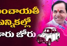 Telangana Panchayat Elections 2019 Results