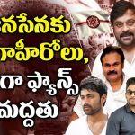 mega family full support to janasena