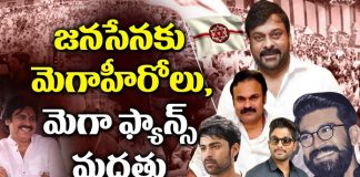 mega family full support to janasena