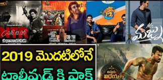 2019 Tollywood Movies Collection Updates!