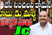 Jessie sensational comments.