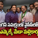 Meda Mallikarjun Reddy Joins in YSRCP