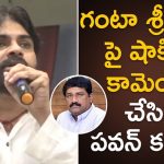 Pawan kalyan Sensational Comments on Ganta Srinivas