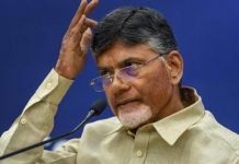 TDP Worries about Son Strokes TDP Worries about Son Strokes