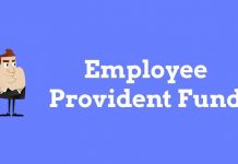 Important things to know about Provident Fund employee