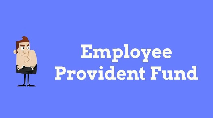 Important things to know about Provident Fund employee