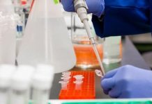 కరోనా మహమ్మారి జిత్తులు ఒక్కటొక్కటిగా ప్రపంచానికి తెలుస్తున్నాయి