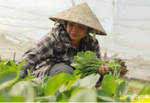 90 లక్షల టన్నుల వరి కొనుగోలు లక్ష్యం: రైతులకు ప్రభుత్వం భరోసా…